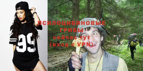 гашик Лагань