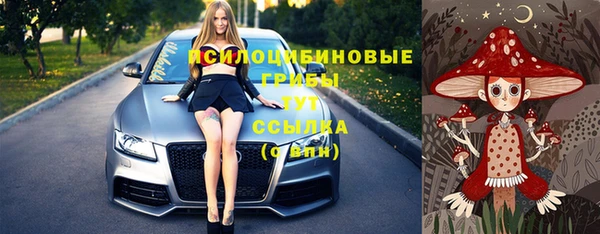 гашик Лагань