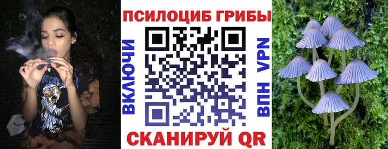 Псилоцибиновые грибы MAGIC MUSHROOMS  хочу   Ростов-на-Дону 