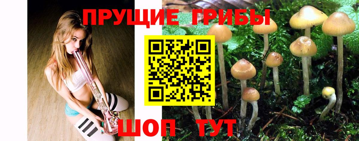 Псилоцибиновые грибы прущие грибы Ростов-на-Дону