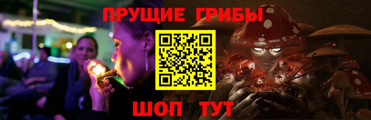 Галлюциногенные грибы мицелий  Псилоцибиновые грибы Psilocybe  сколько стоит  Ростов-на-Дону 